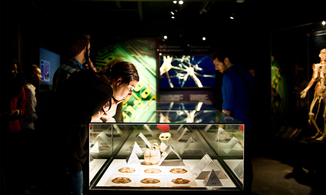 BODY WORLDS: The Happiness Project