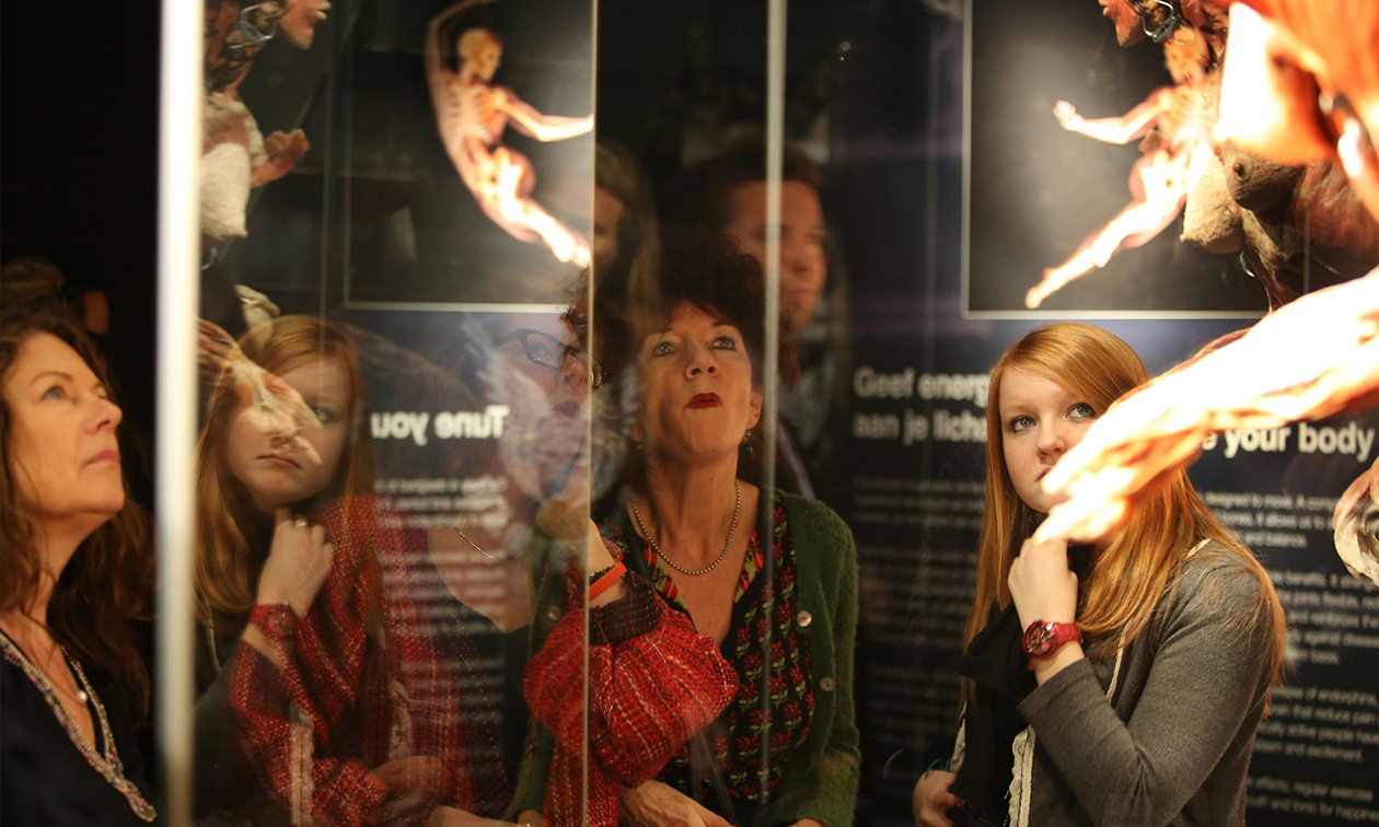 BODY WORLDS: The Happiness Project