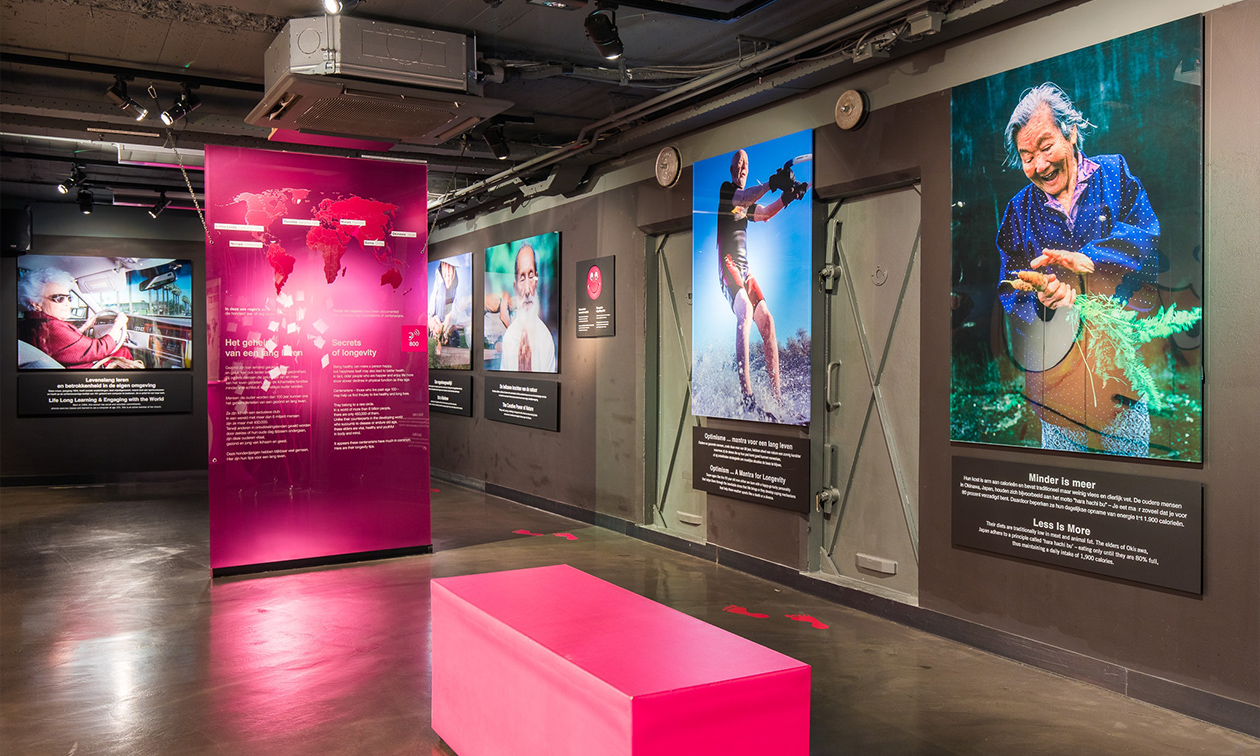 BODY WORLDS: The Happiness Project