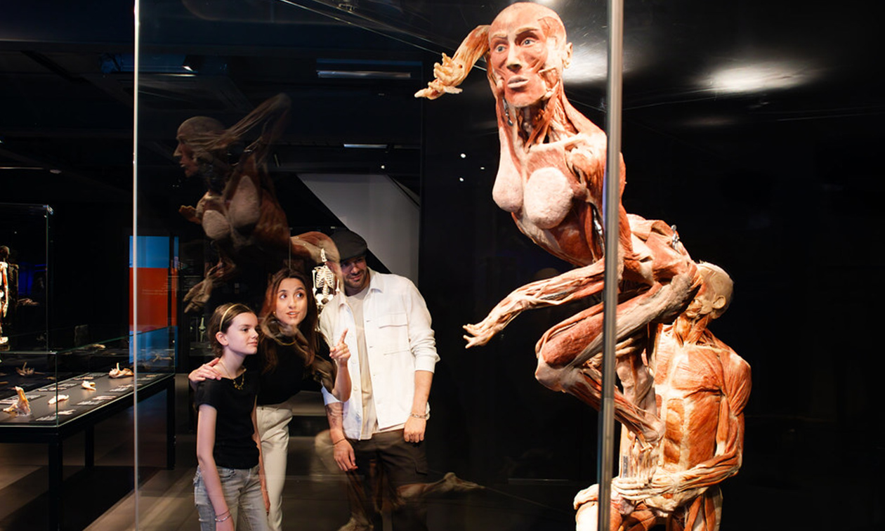 BODY WORLDS: The Happiness Project