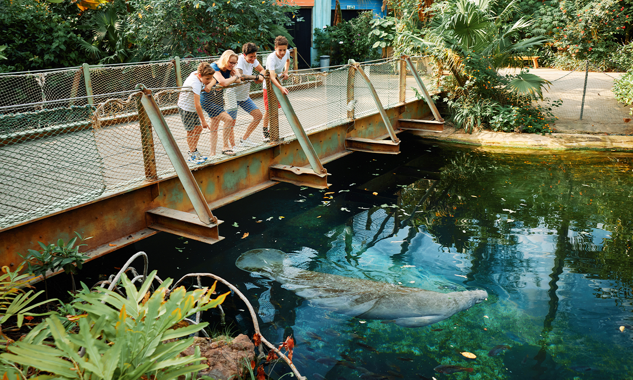 Burgers´ Zoo