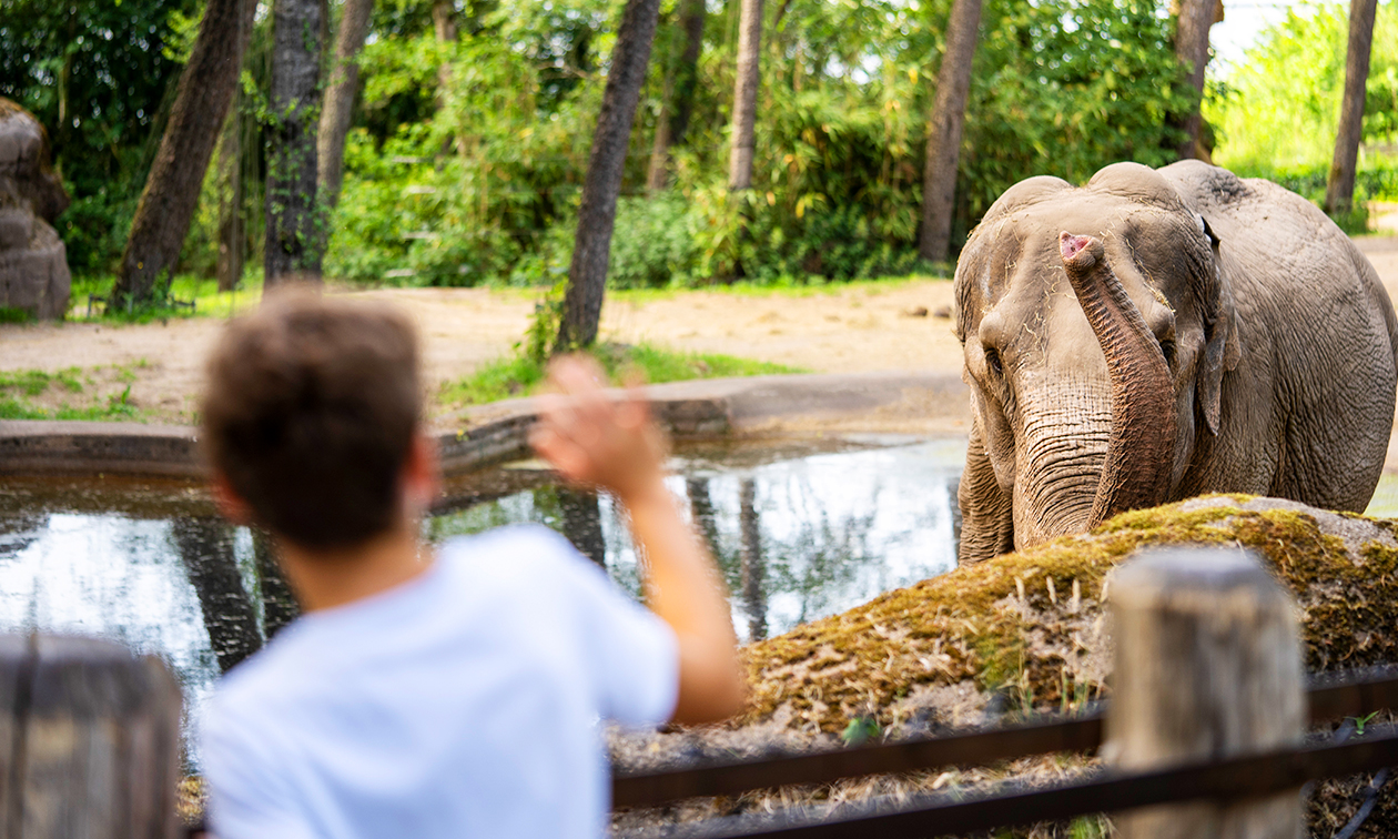 Burgers´ Zoo