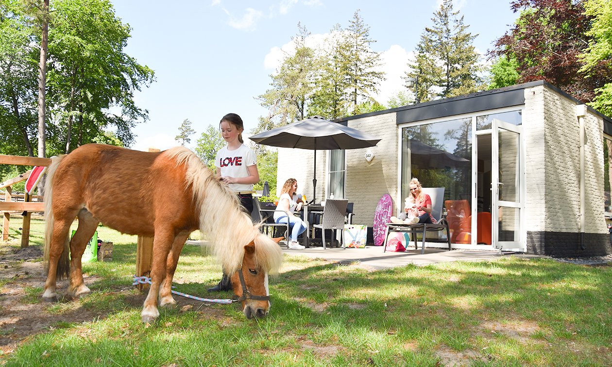 Camping Ommerland