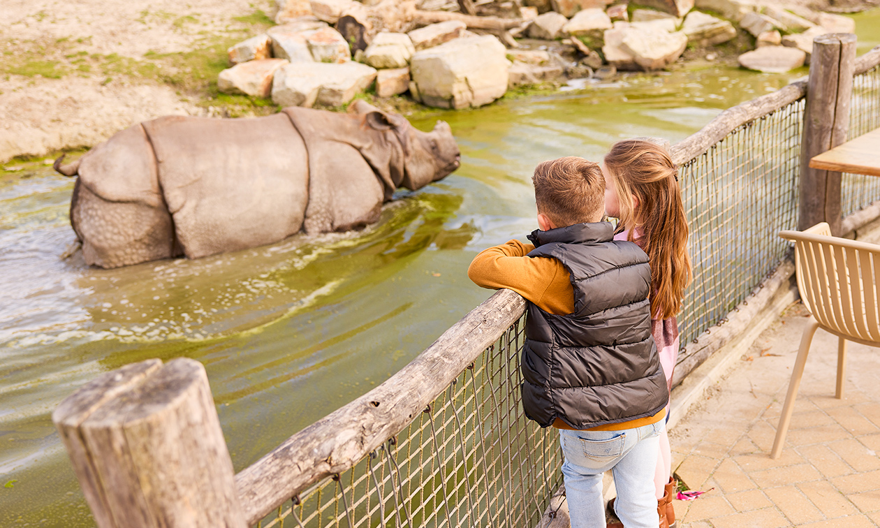 Eindhoven Zoo