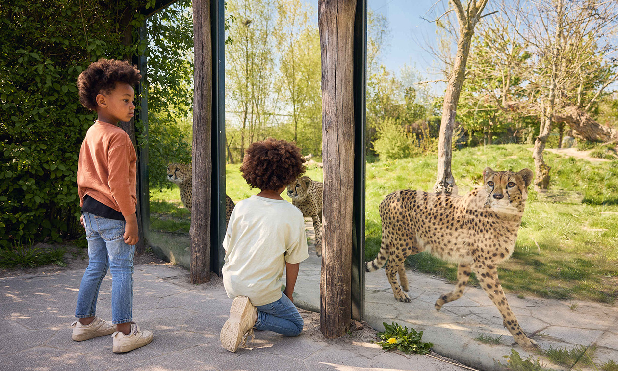 Eindhoven Zoo