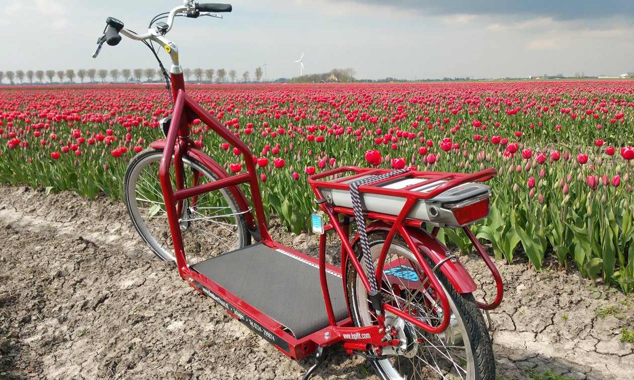 Fred's Verhuur