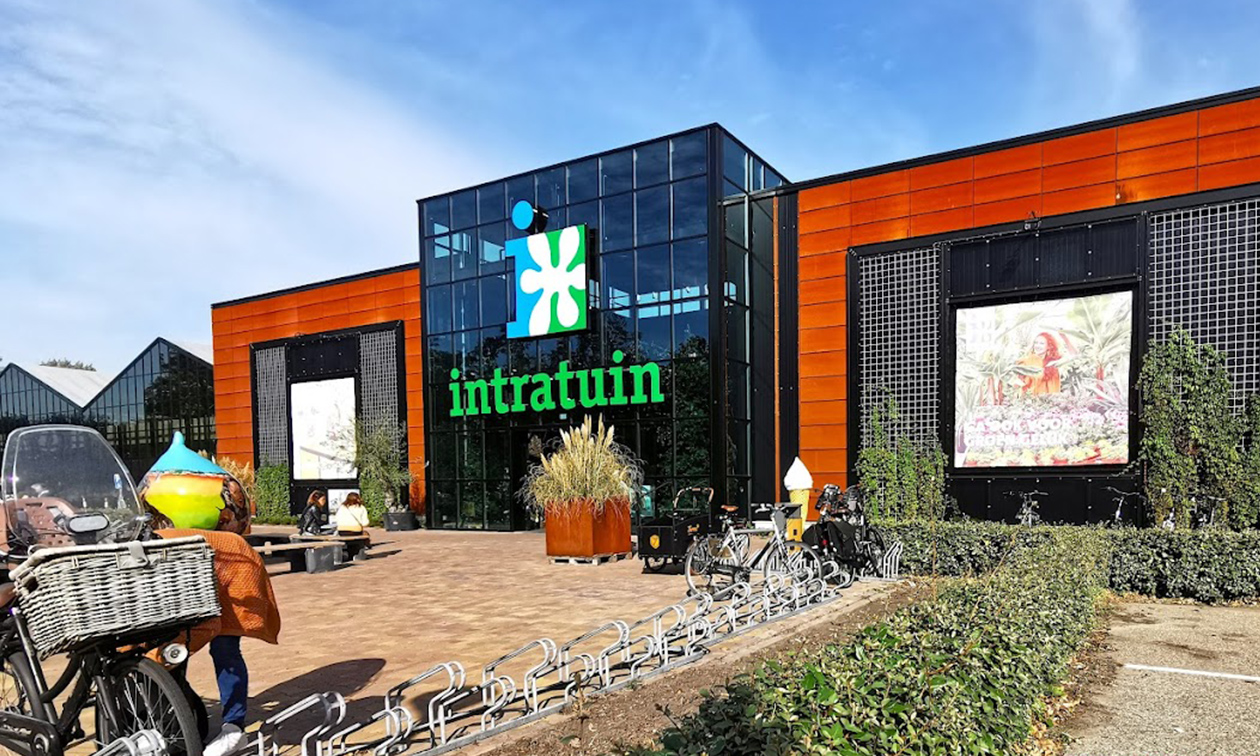 Intratuin Lisse