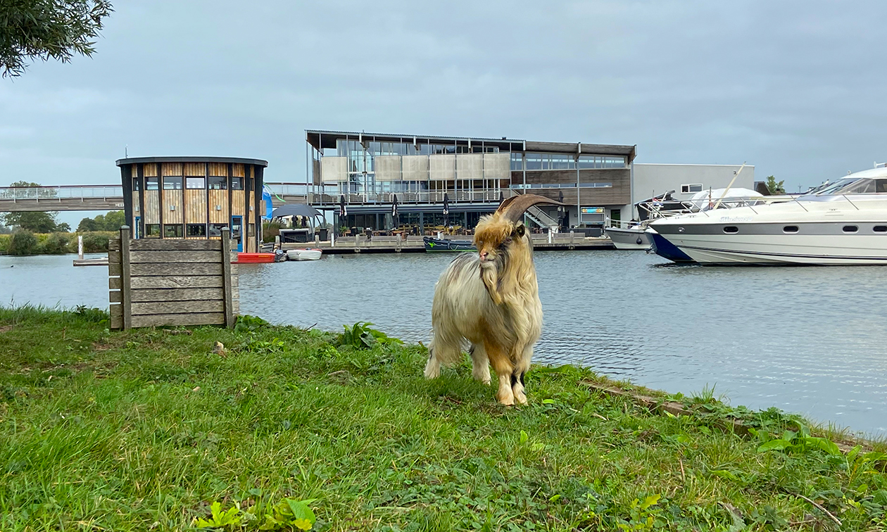 Jachthaven Marnemoende