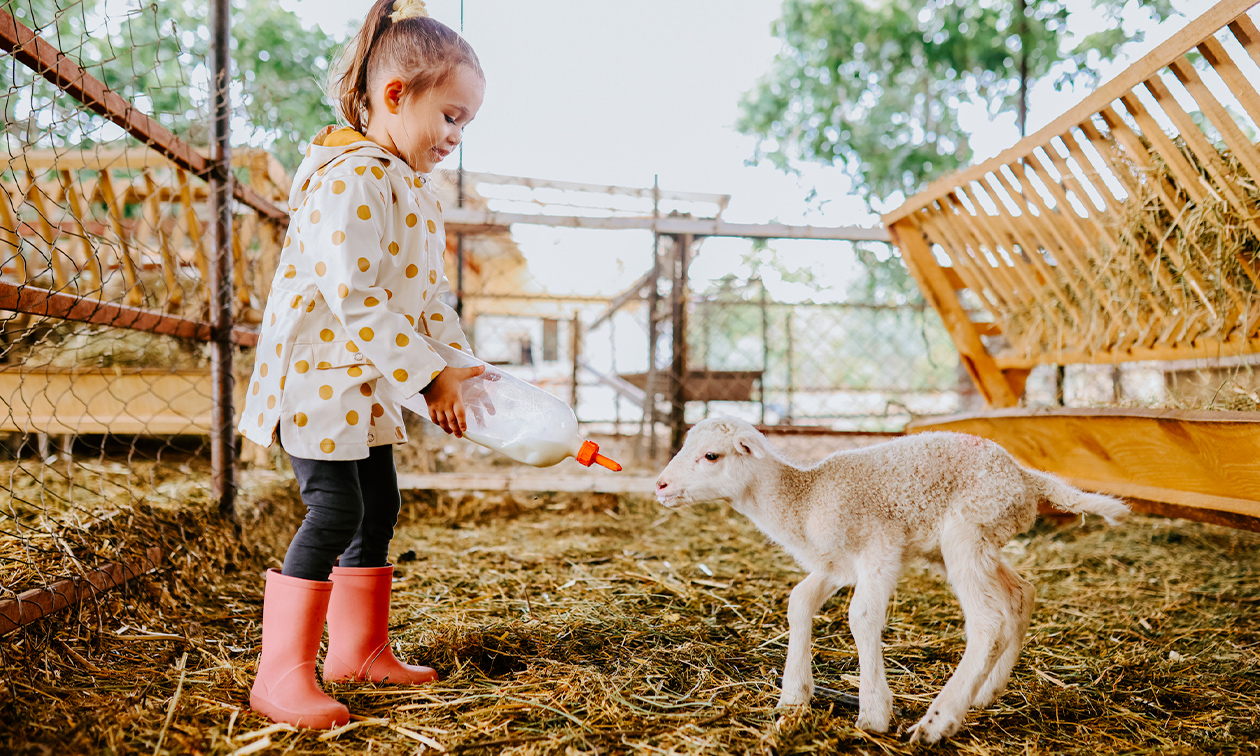 Knuffelboerderij de Goordonkhoeve