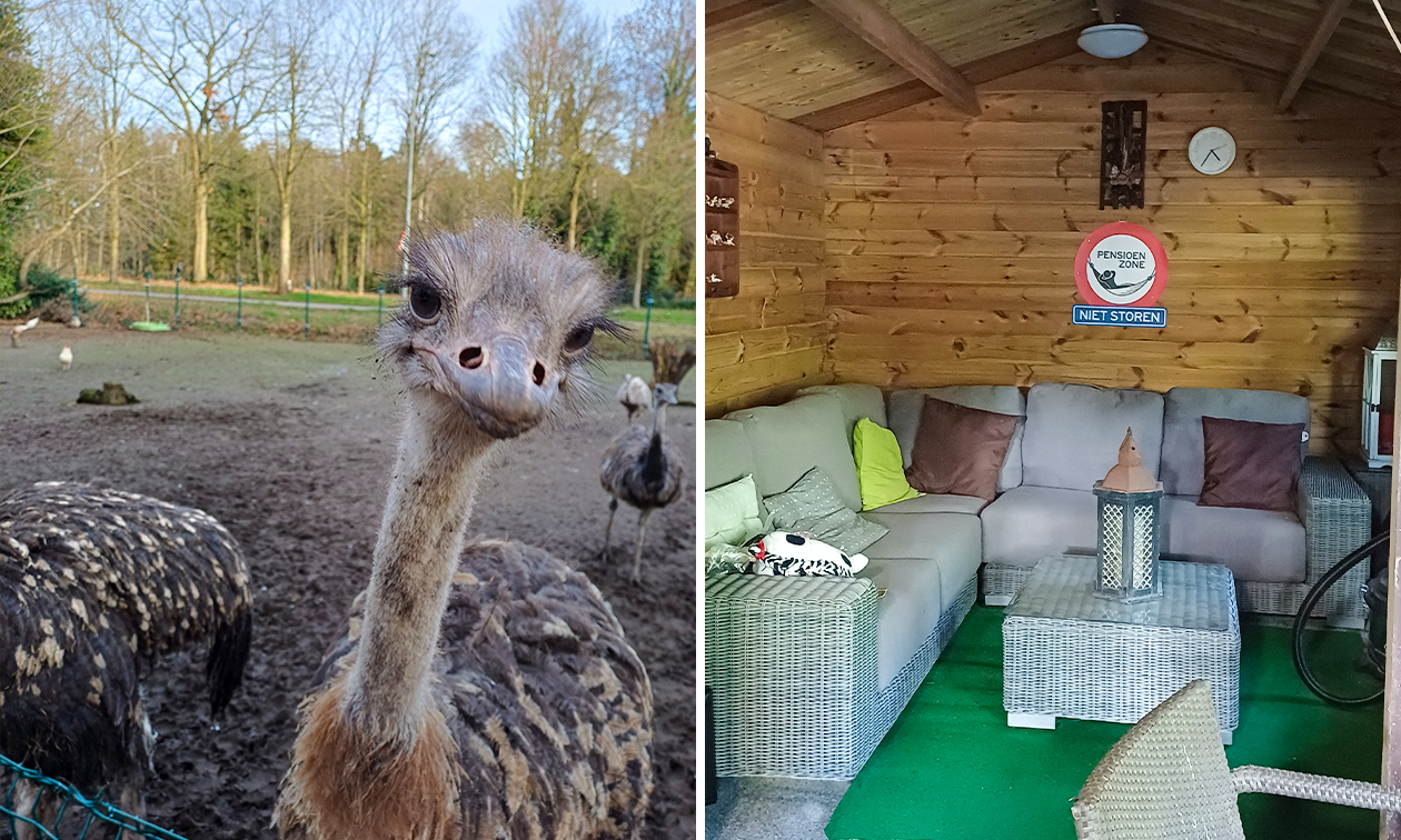 Knuffelboerderij de Goordonkhoeve