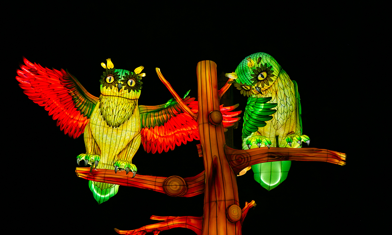 Ouwehands Dierenpark Rhenen