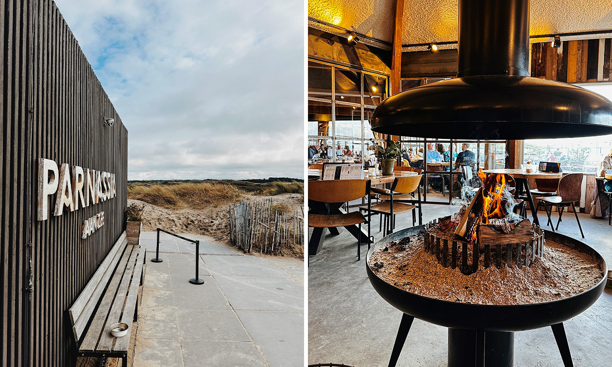 Parnassia Aan Zee