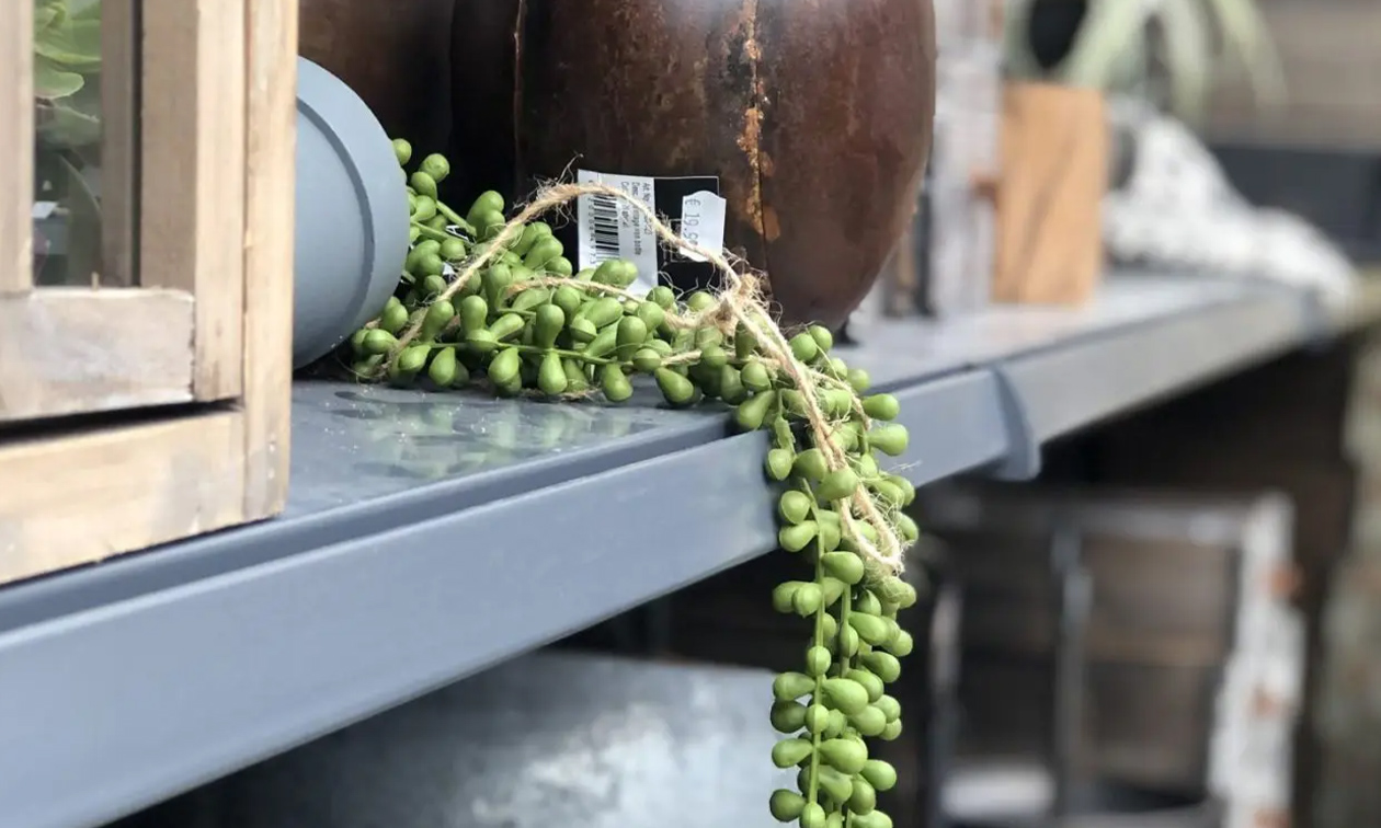Peer Tuincentrum