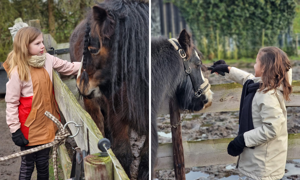 Pony's Avonturen Stal