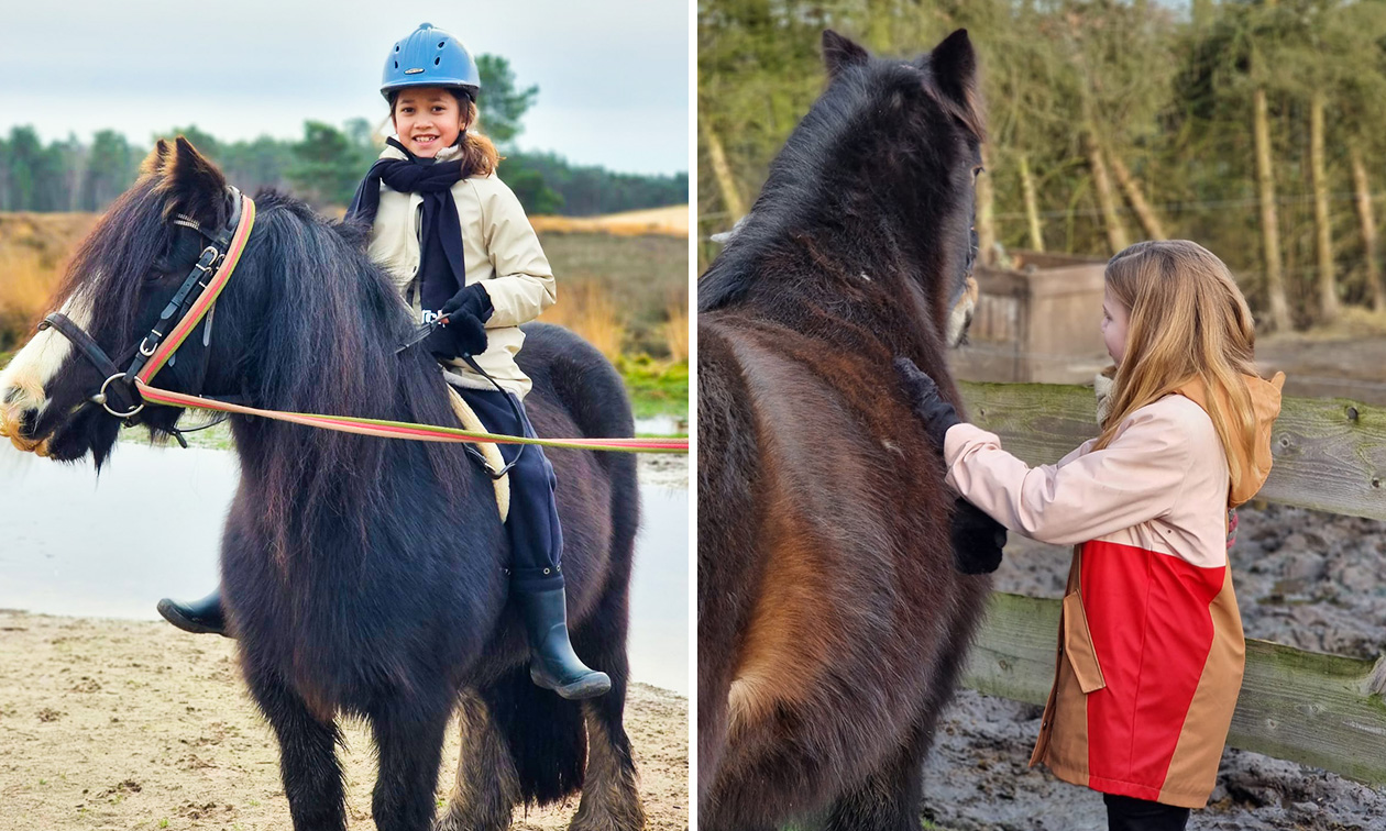 Pony's Avonturen Stal