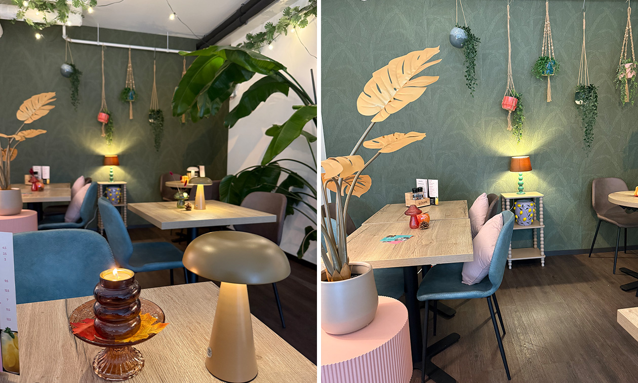 Schepsels IJscafé Heerhugowaard