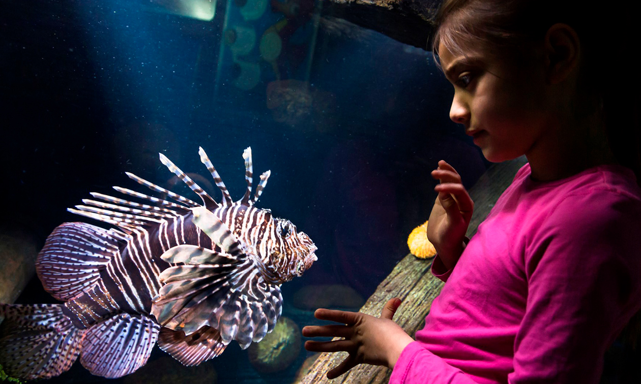 SEA LIFE Scheveningen