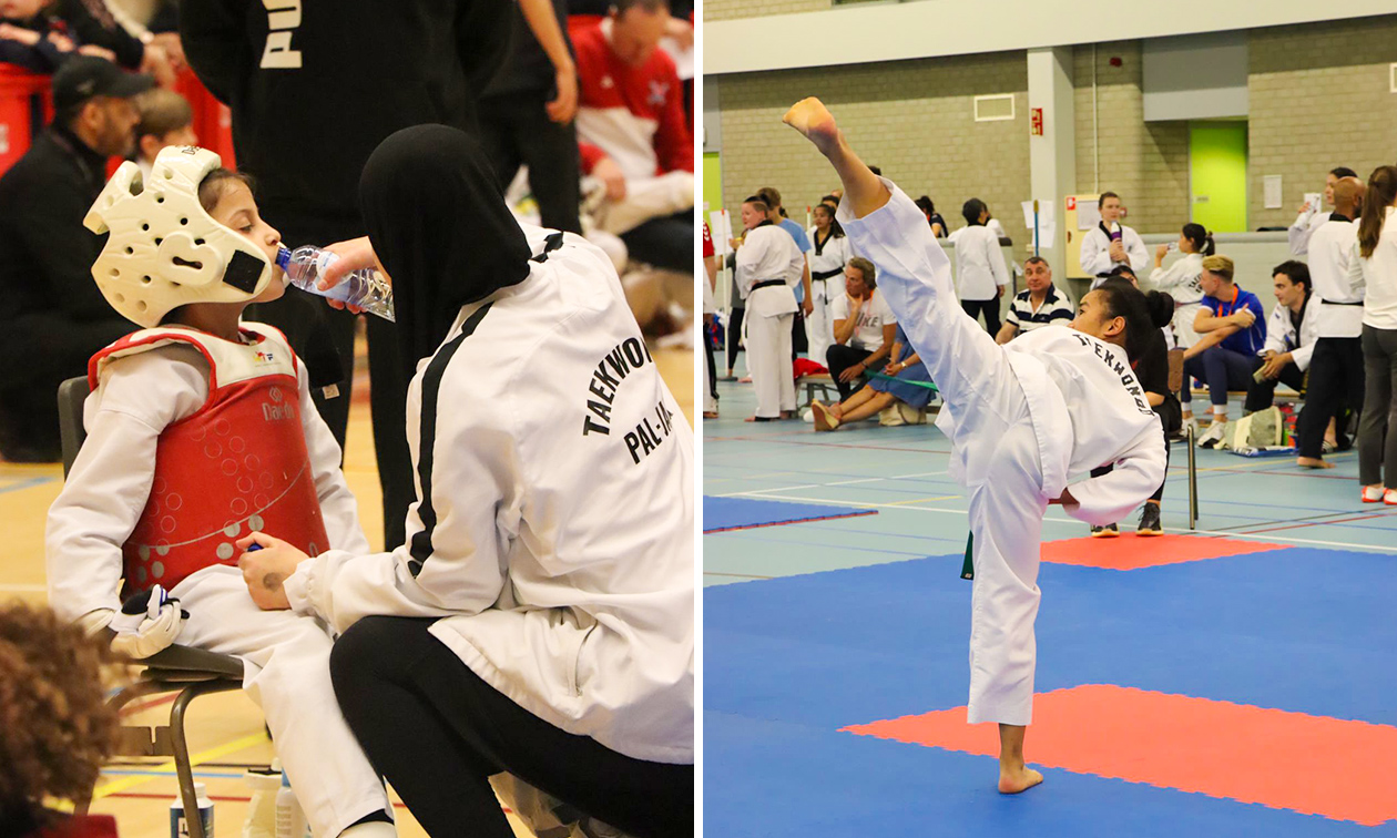 Taekwondo Pal-Jang