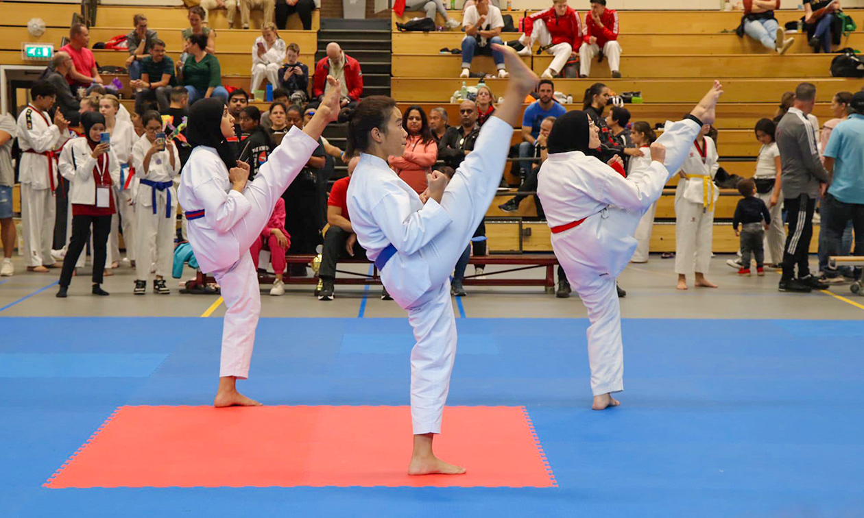 Taekwondo Pal-Jang