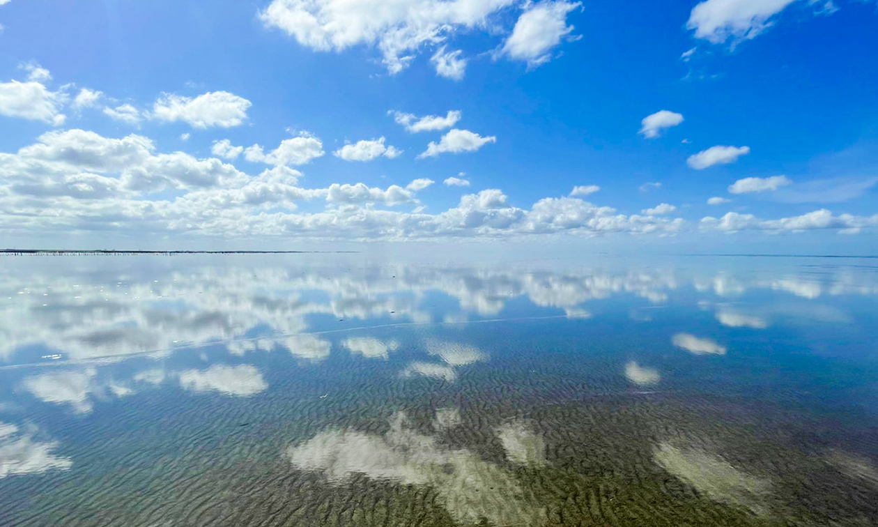 Wadlopen Pieterburen