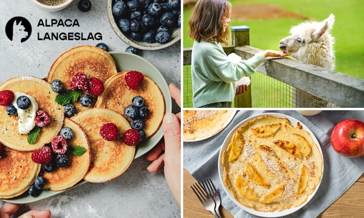Pannenkoekengourmet tussen de alpaca's + drankje naar keuze