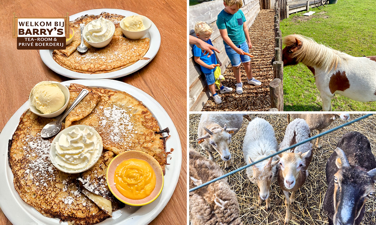 Entree kinderboerderij + reuzepannenkoeken + drankje