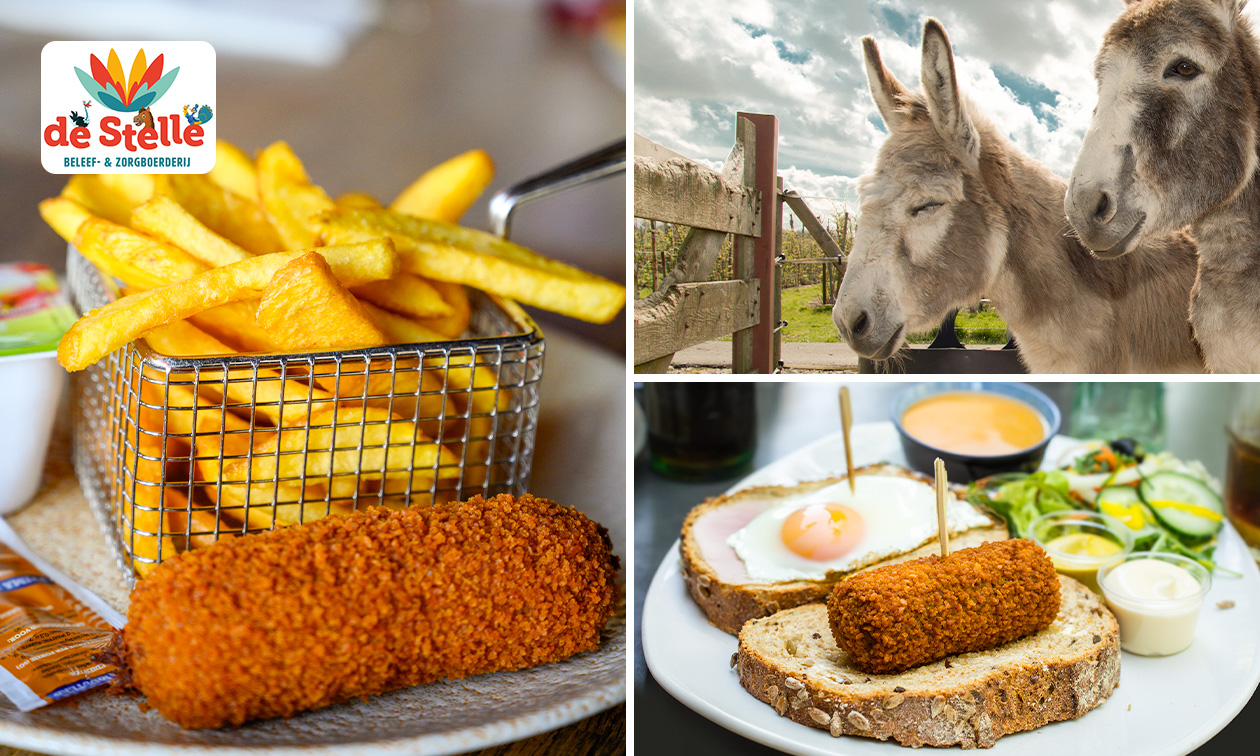 Boerenfriet of snackmenu bij Beleefboerderij De Stelle