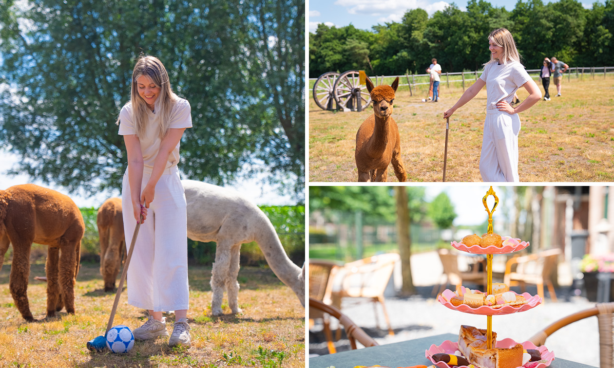 Alpaca-golf (1,5 uur) bij Beleefboerderij Heierhof