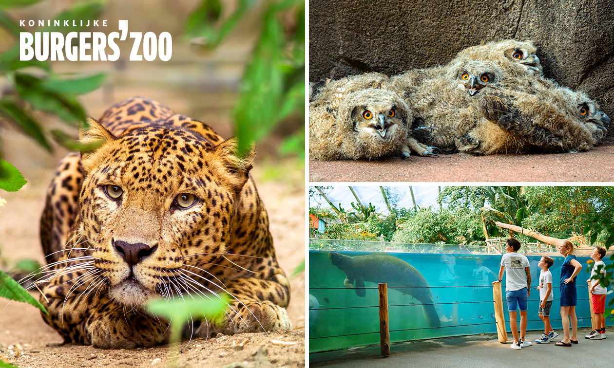 Entree voor Burgers' Zoo