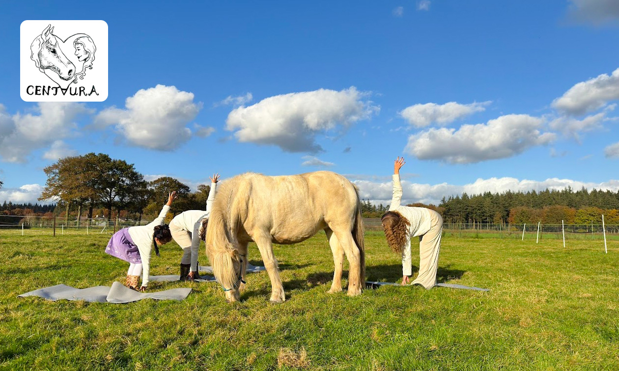 Paardenyoga-sessie (45 min)
