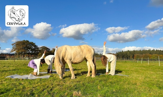 Paardenyoga-sessie (45 min)