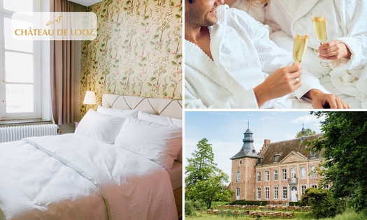 Nuit pour 2 + petit-déjeuner avec cava dans un château-hôtel
