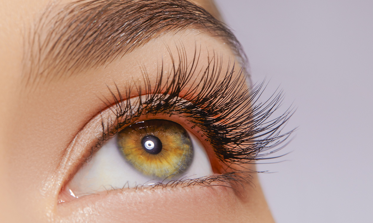 Wenkbrauwbehandeling naar keuze of wimperlift Wenkbrauwbehandeling naar keuze of wimperlift