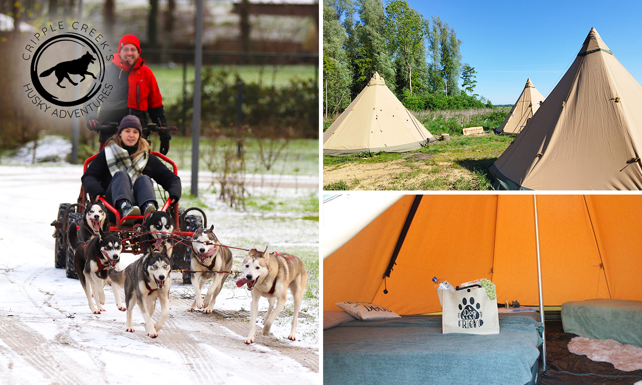Overnachting voor 1 + husky-karrenronde, high tea, ontbijt en meer Overnachting voor 1 + husky-karrenronde, high tea, ontbijt en meer