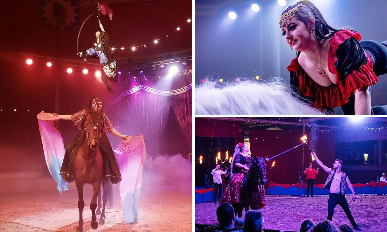 Entree Dancing with Horses