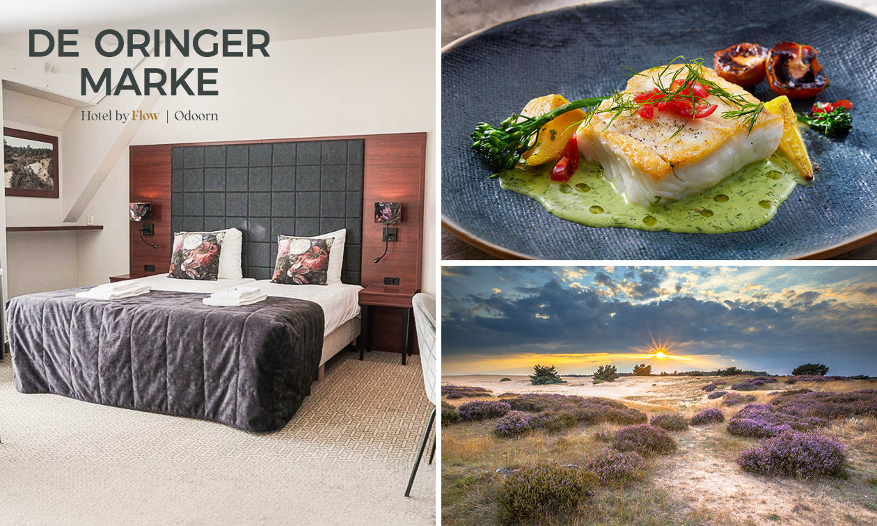 Luxe overnachting voor 2 + ontbijt + 3-gangendiner + meer in Odoorn