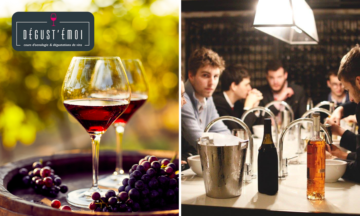 Atelier de dégustation de vins en solo ou duo au choix (2h ou 4h) à Lille ou Bruxelles
