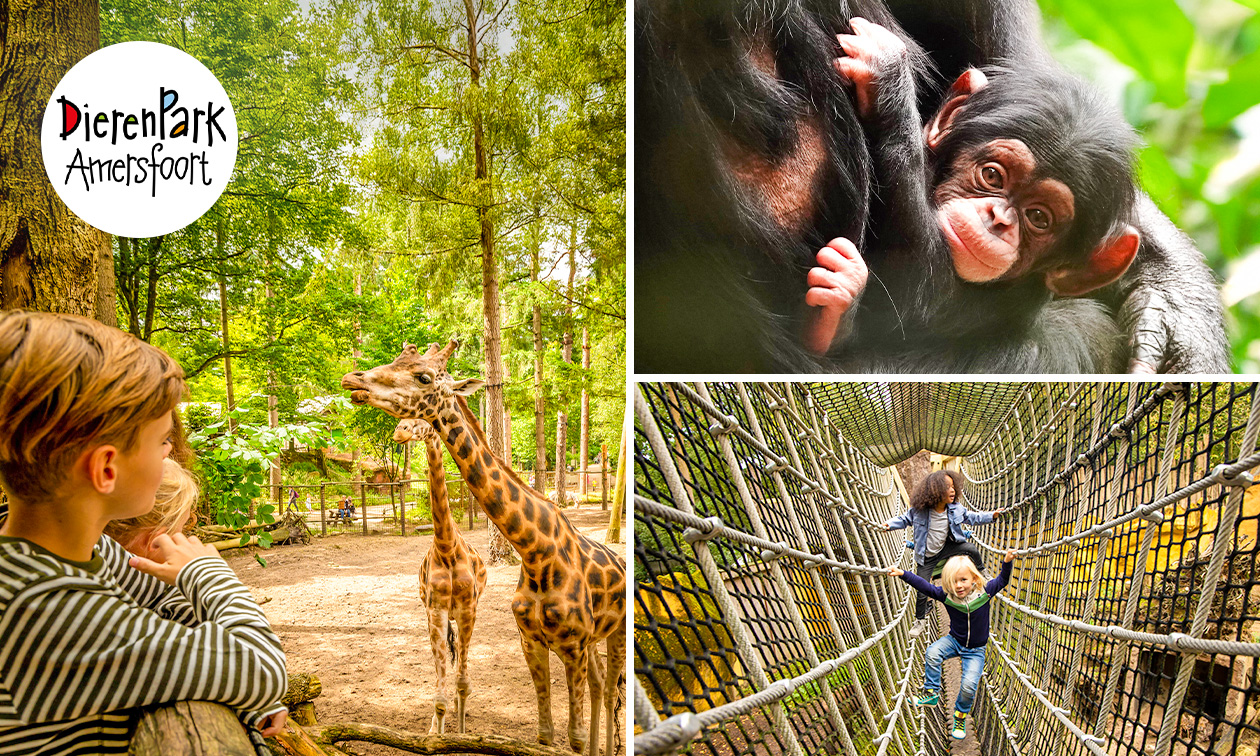 Entree voor DierenPark Amersfoort