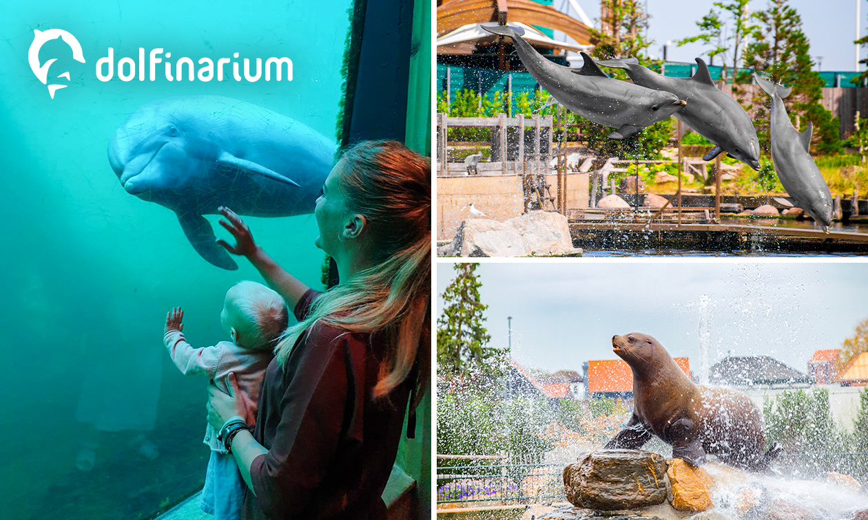 Eintritt ins Dolfinarium
