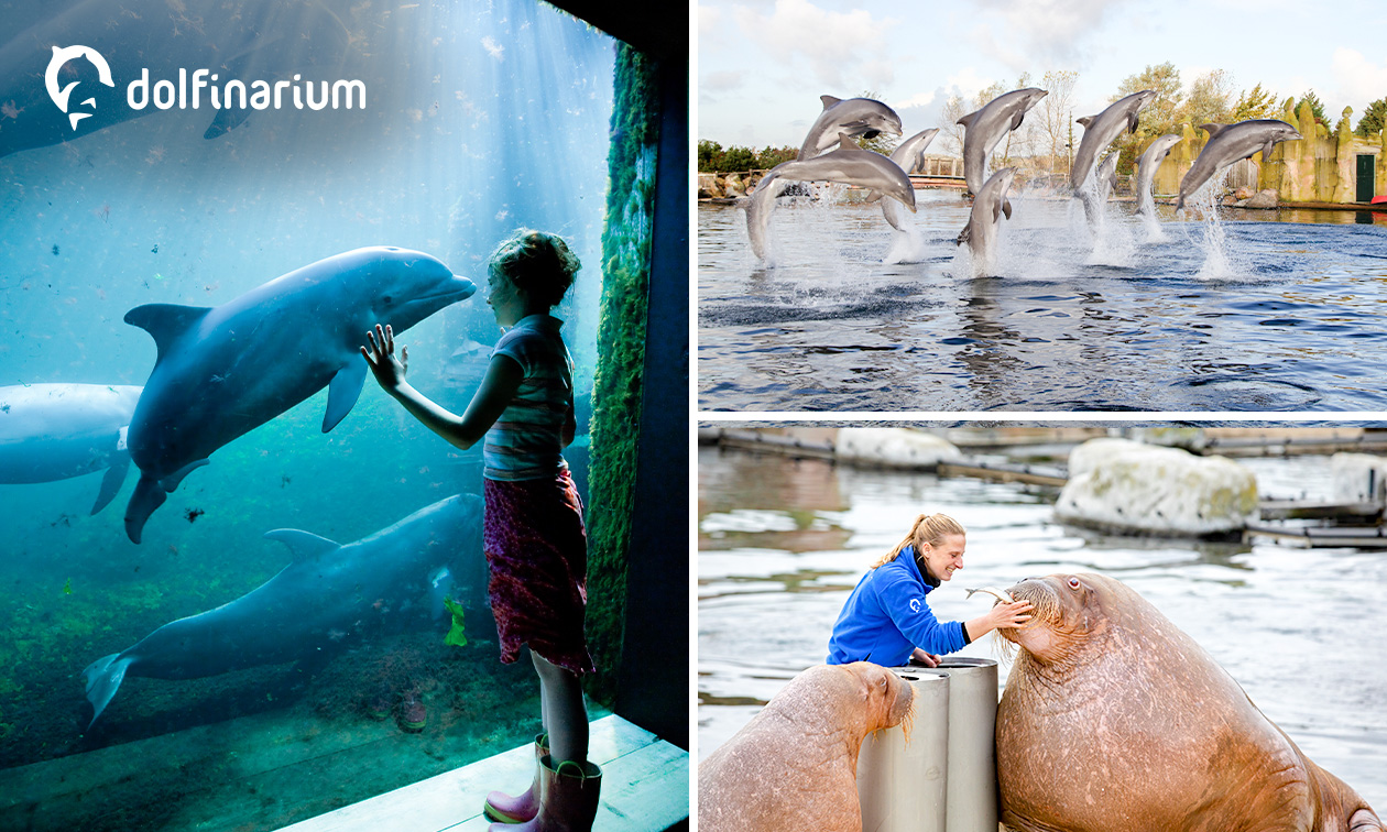 Entree voor het Dolfinarium
