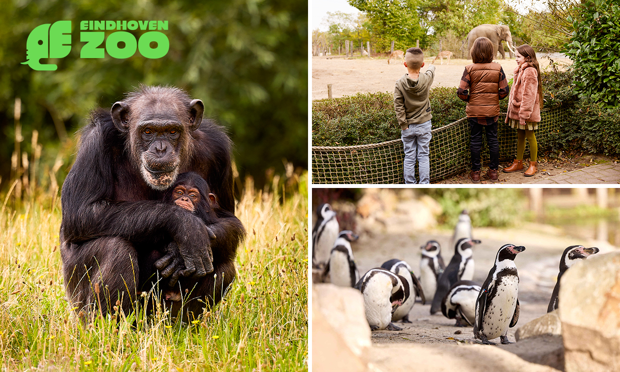 Tageseintritt Eindhoven Zoo