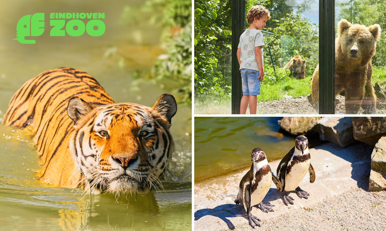 Entrée à la journée au zoo d'Eindhoven