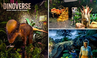 Entrée pour l'exposition immersive Dinoverse à Liège