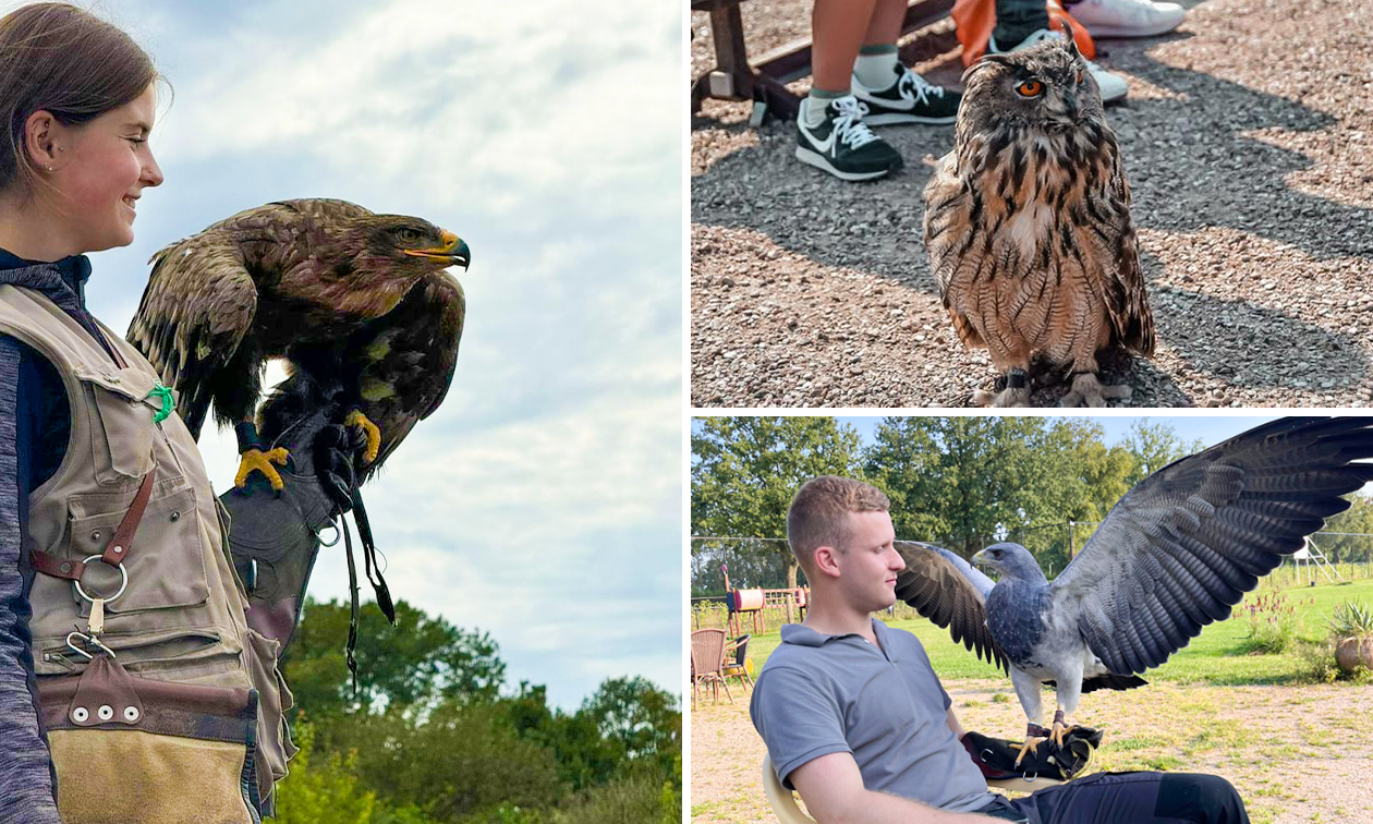 Valkeniersworkshop (3 uur) bij Falconcrest