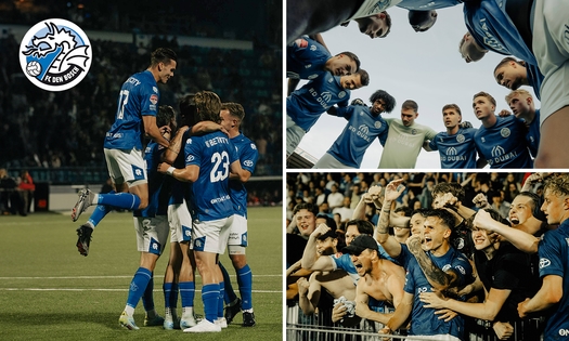 Ticket voor wedstrijd naar keuze van FC Den Bosch