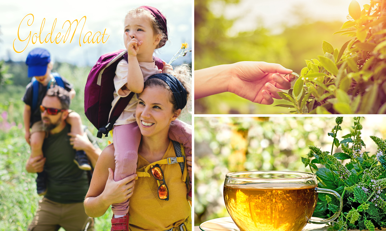 Wildplukwandeling inclusief versnapering (± 2,5 uur)