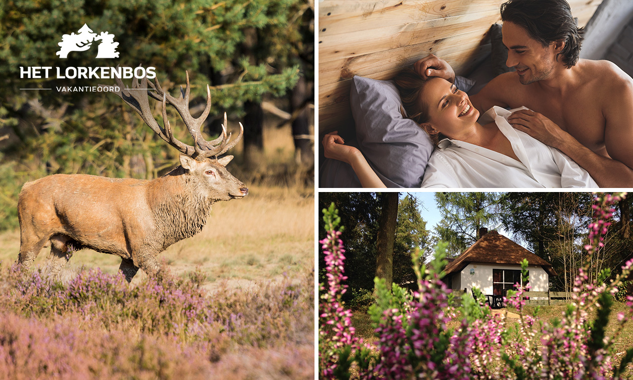 Weekend of midweek weg (2 tot 8 pers.) op de Veluwe