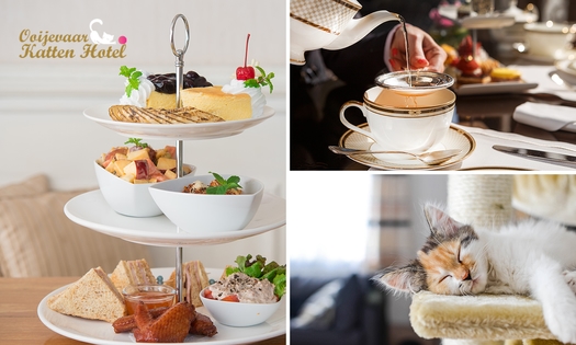 High tea (2 uur) incl. onbeperkt thee bij Kattenhotel Ooijevaar