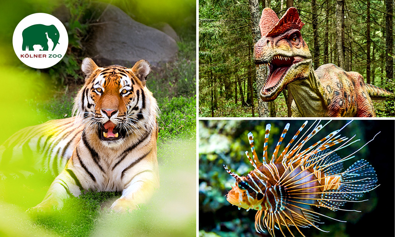 Eintritt in den Kölner Zoo, Aquarium und Dinoworld