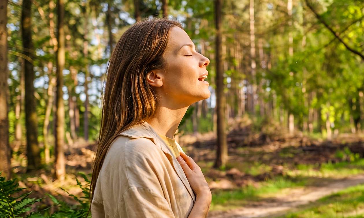 Meditatives Mitsingen (2 Stunden)